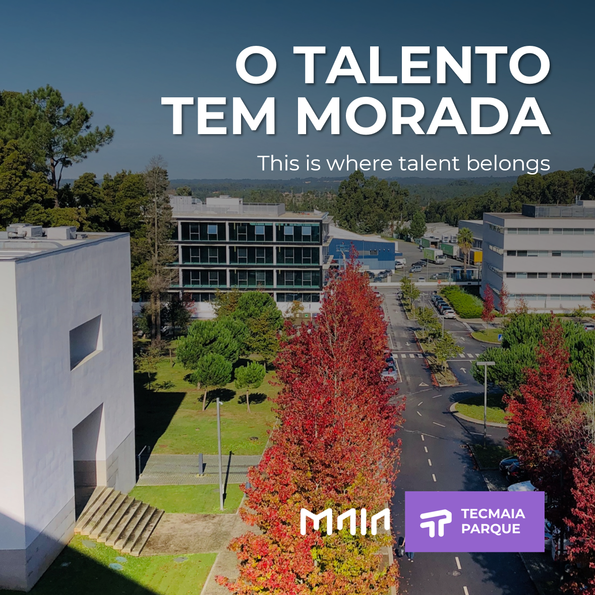 Conheça as oportunidades de carreira nas empresas do parque! // Career Opportunities